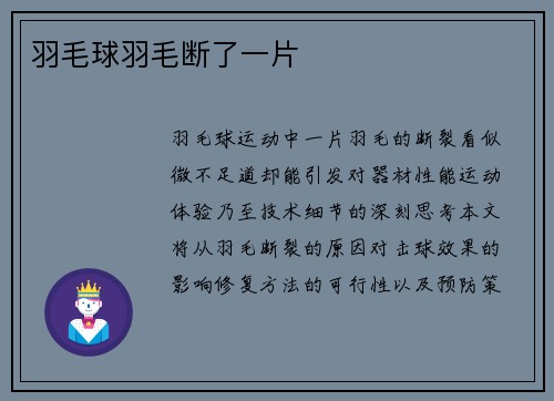羽毛球羽毛断了一片